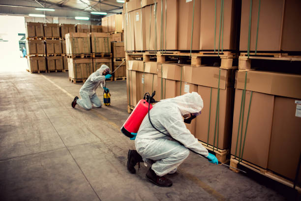 Best Affordable Pest Control Services  in Fredericksburg, TX