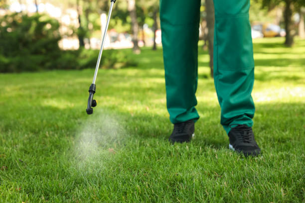 Best Wildlife Control Services  in Fredericksburg, TX