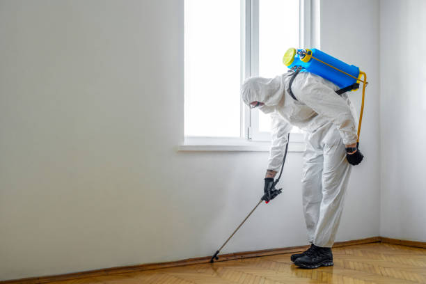 Best Affordable Pest Control Services  in Fredericksburg, TX