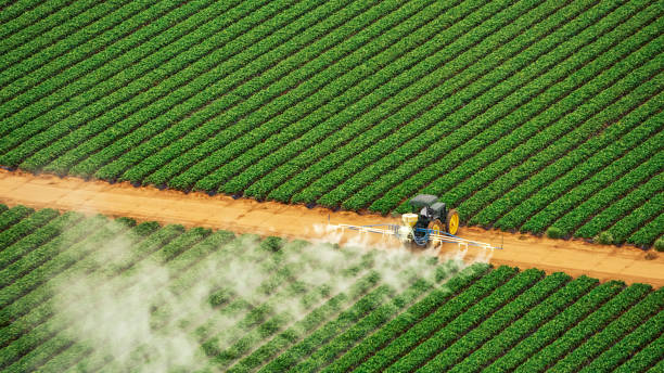 Reliable Fredericksburg, TX Pest Control Solutions