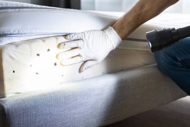 Best Pest Removal Services  in Fredericksburg, TX