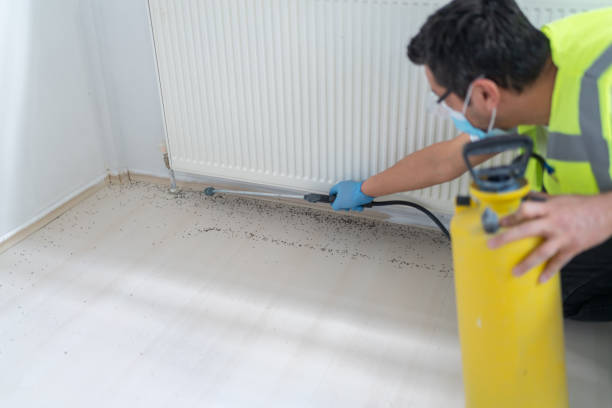 Pest Prevention Services in Fredericksburg, TX