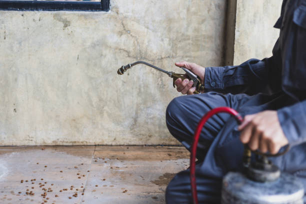 Best Pest Prevention Services  in Fredericksburg, TX